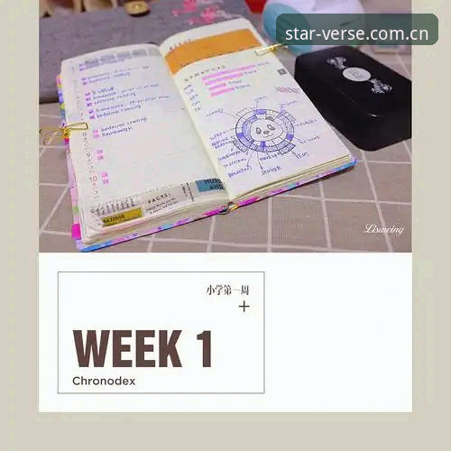 Starryapp官方登录安装教程vs自行摸索：哪个更省时？从篮球数据分析到多设备同步的几点实用建议