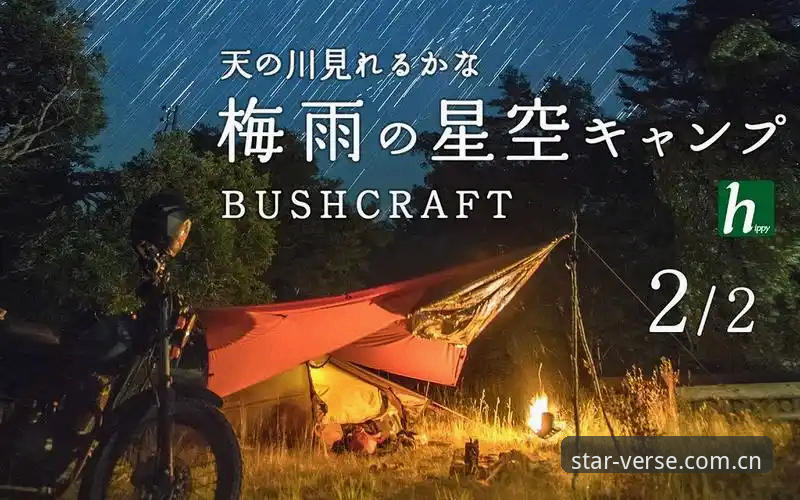 星空体育平台与Starryapp官方登录全解析：避开误区，掌握这6个关键点